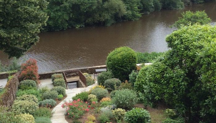 Réalisation d'un entretien de jardin à Montaigu par Poisson Paysagiste